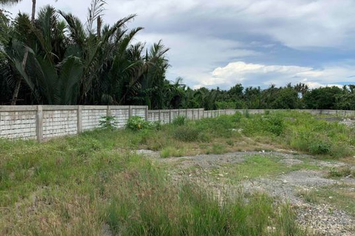 Land for Sale in Luyang, Carmen, Cebu – photo 2