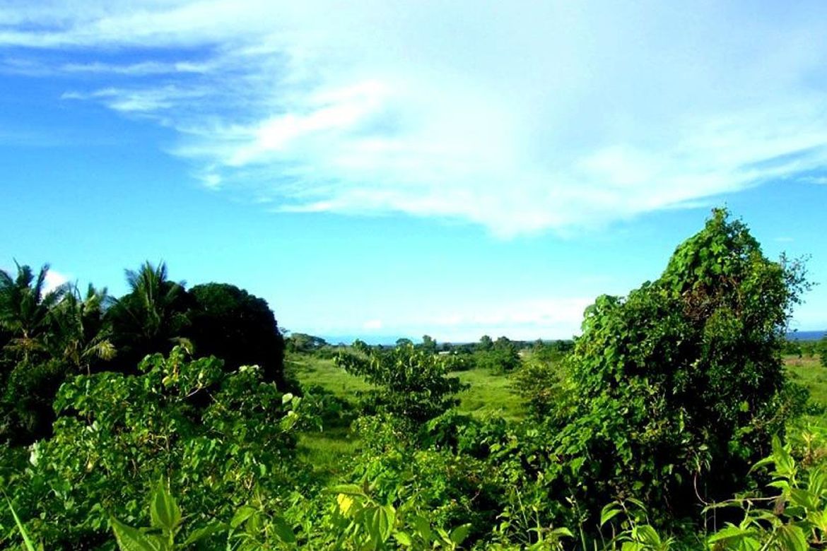 Land for Sale in Luzviminda, Puerto Princesa, Palawan – photo 2