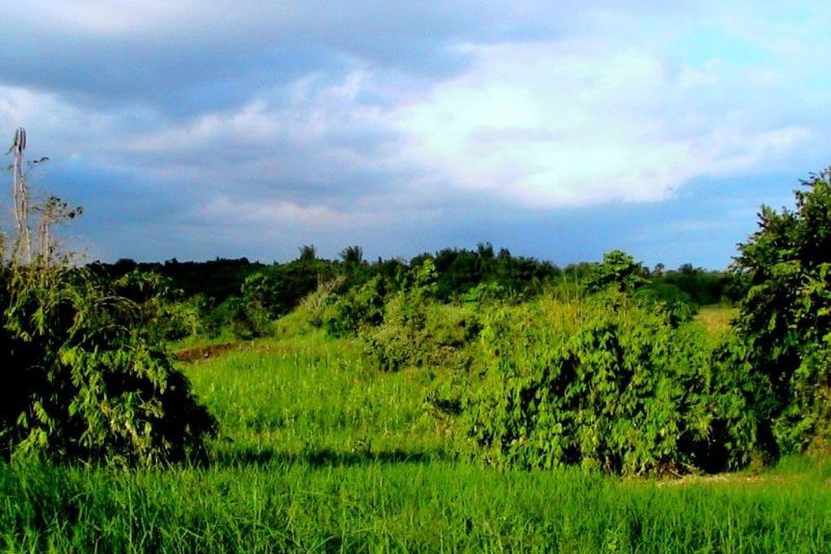 Land for Sale in Luzviminda, Puerto Princesa, Palawan – photo 6