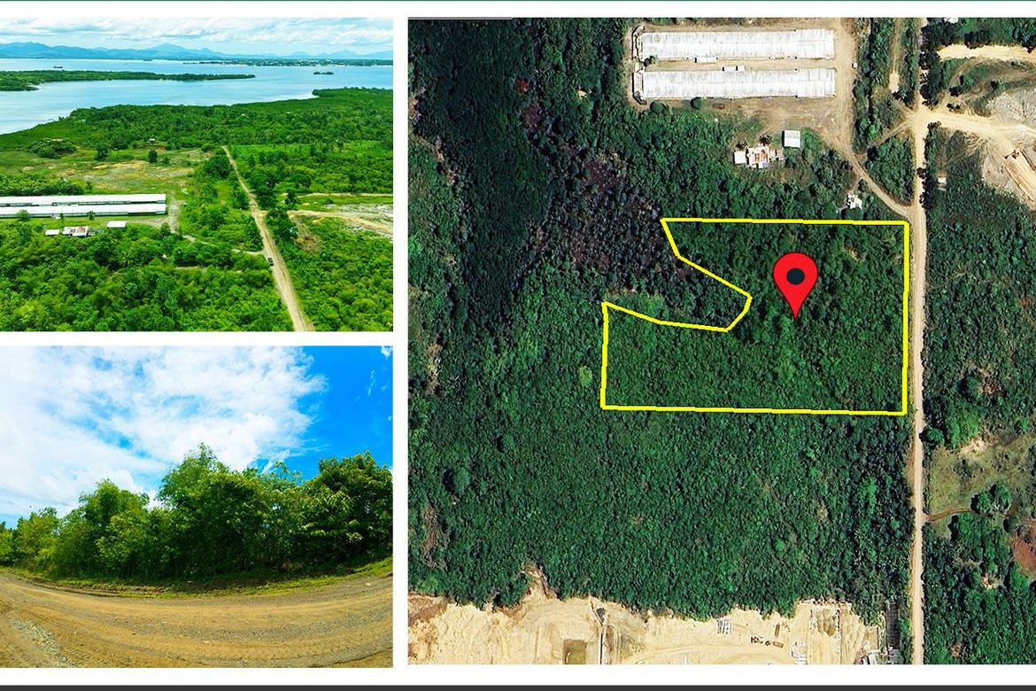 Land for Sale in Luzviminda, Puerto Princesa, Palawan