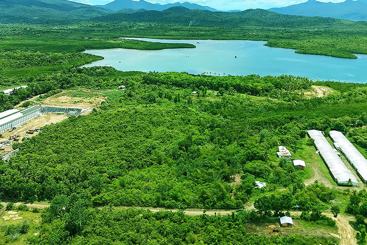Land for Sale in Luzviminda, Puerto Princesa, Palawan – photo 2