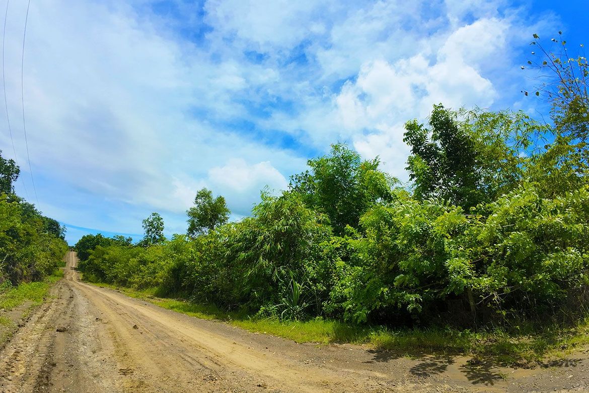 Land for Sale in Luzviminda, Puerto Princesa, Palawan – photo 6