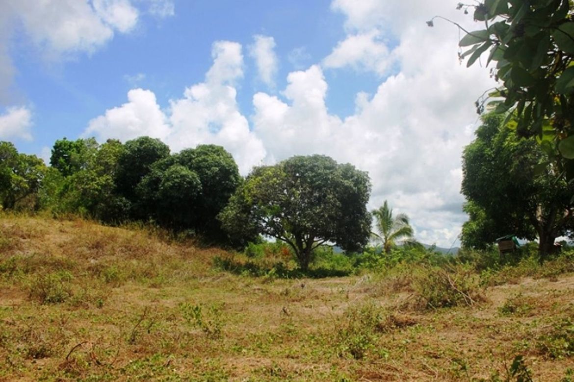 Land for Sale in Luzviminda, Puerto Princesa, Palawan – photo 2