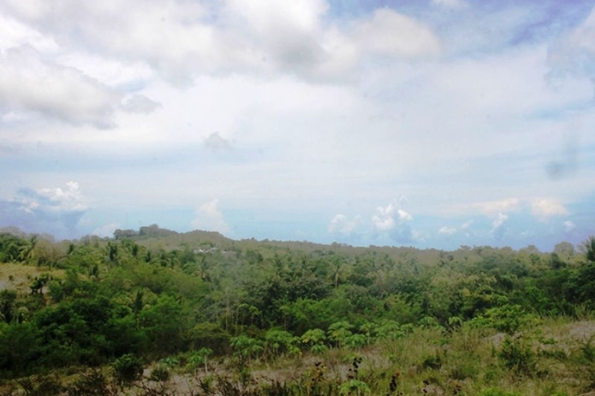 Land for Sale in Luzviminda, Puerto Princesa, Palawan – photo 4