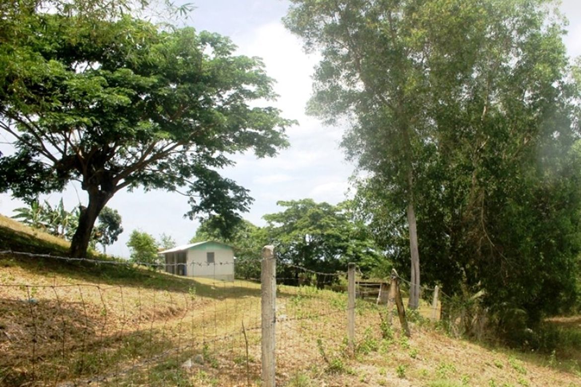 Land for Sale in Luzviminda, Puerto Princesa, Palawan – photo 5