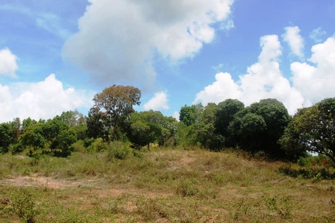 Land for Sale in Luzviminda, Puerto Princesa, Palawan – photo 8