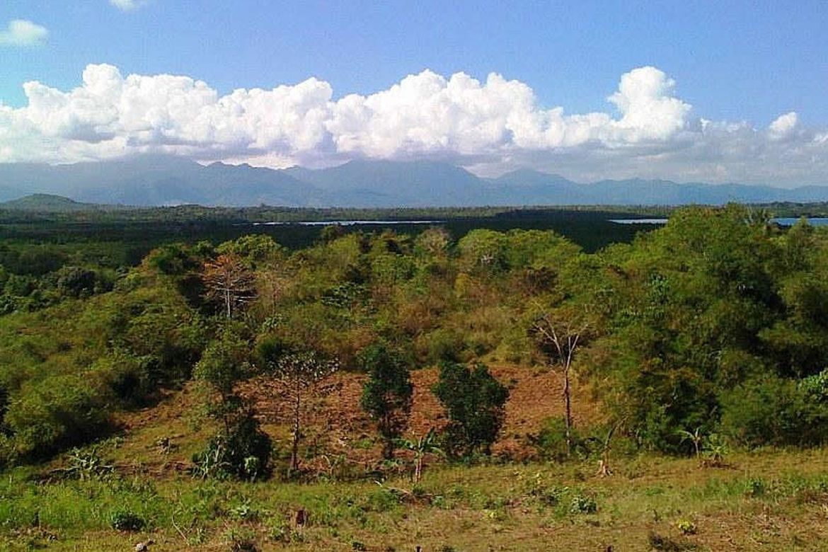 Land for Sale in Luzviminda, Puerto Princesa, Palawan – photo 4