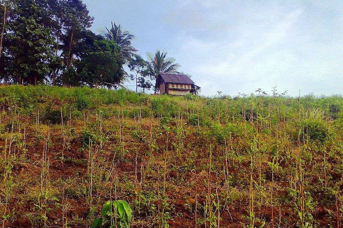 Land for Sale in Luzviminda, Puerto Princesa, Palawan – photo 6