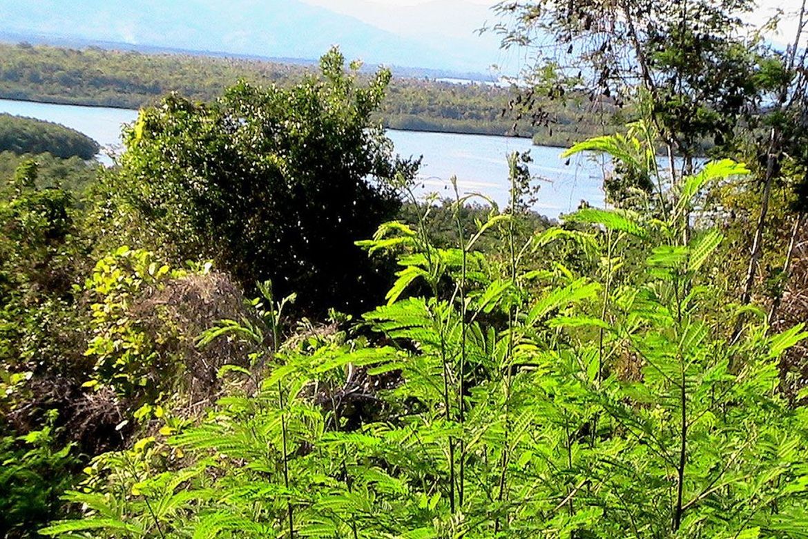 Land for Sale in Luzviminda, Puerto Princesa, Palawan – photo 4