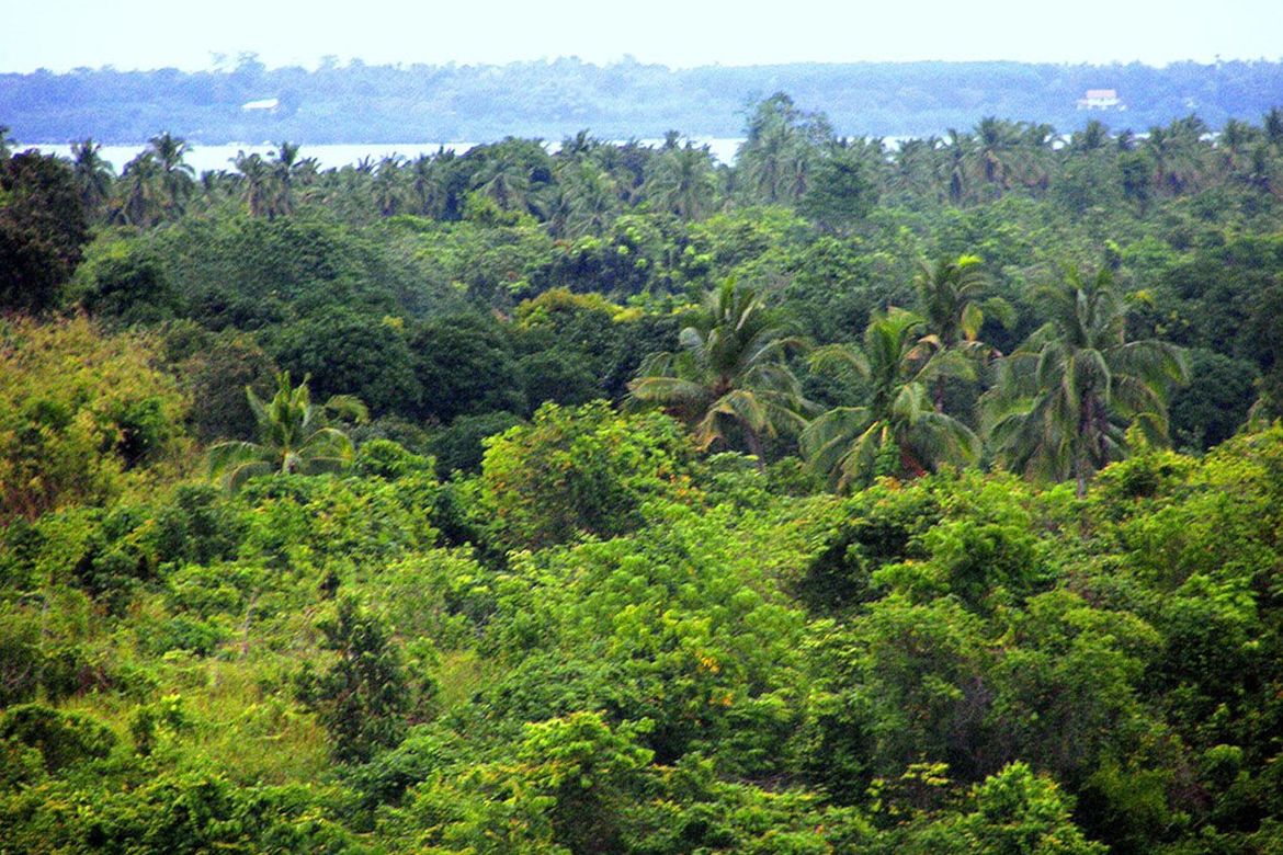 Land for Sale in Luzviminda, Puerto Princesa, Palawan – photo 5