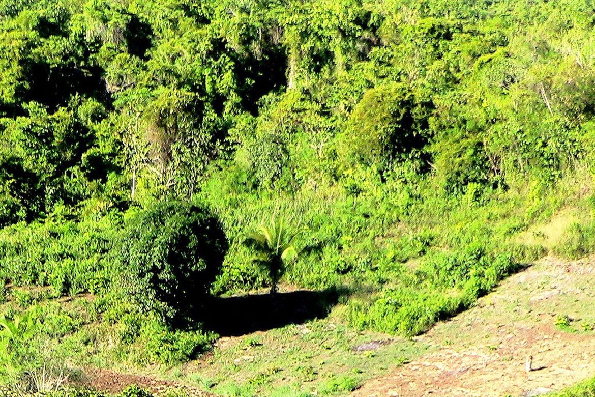 Land for Sale in Luzviminda, Puerto Princesa, Palawan – photo 8