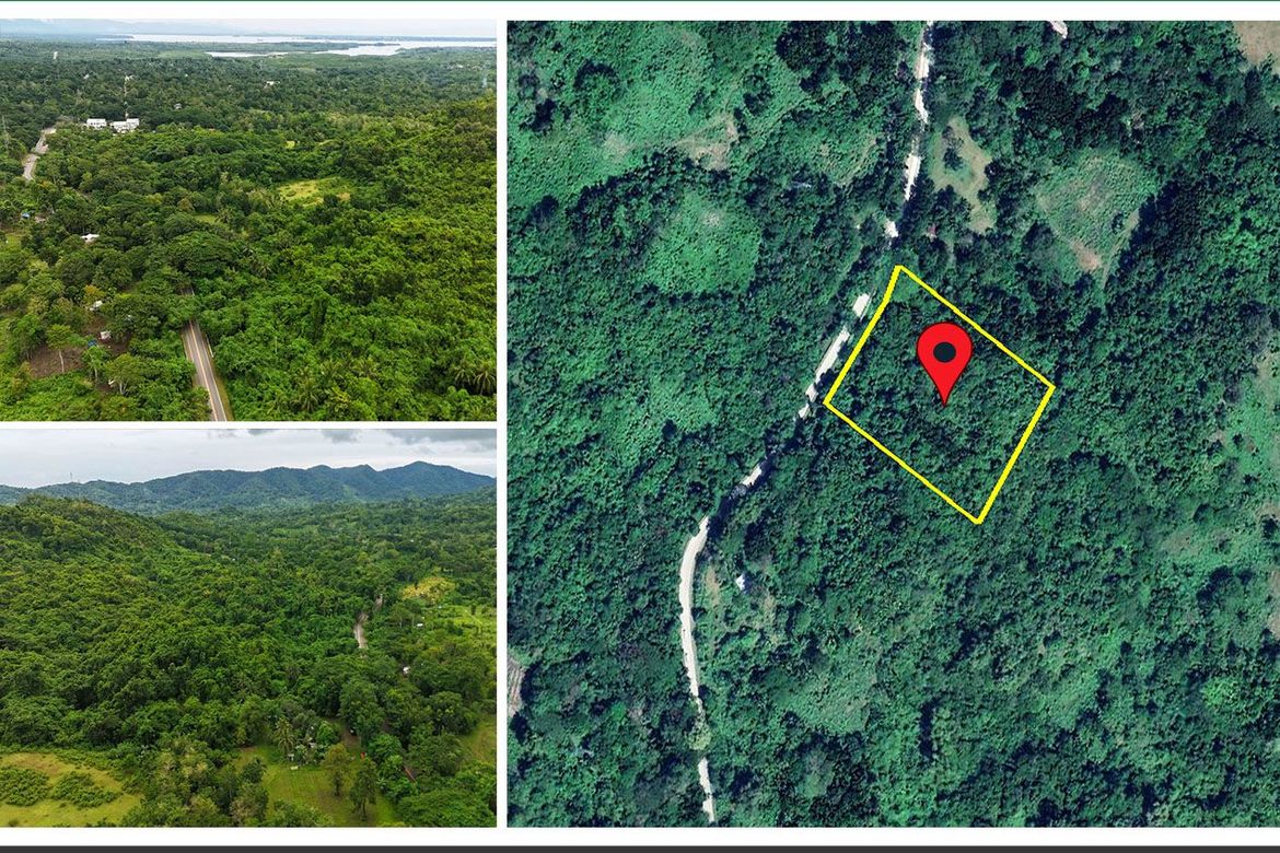 Land for Sale in Luzviminda, Puerto Princesa, Palawan