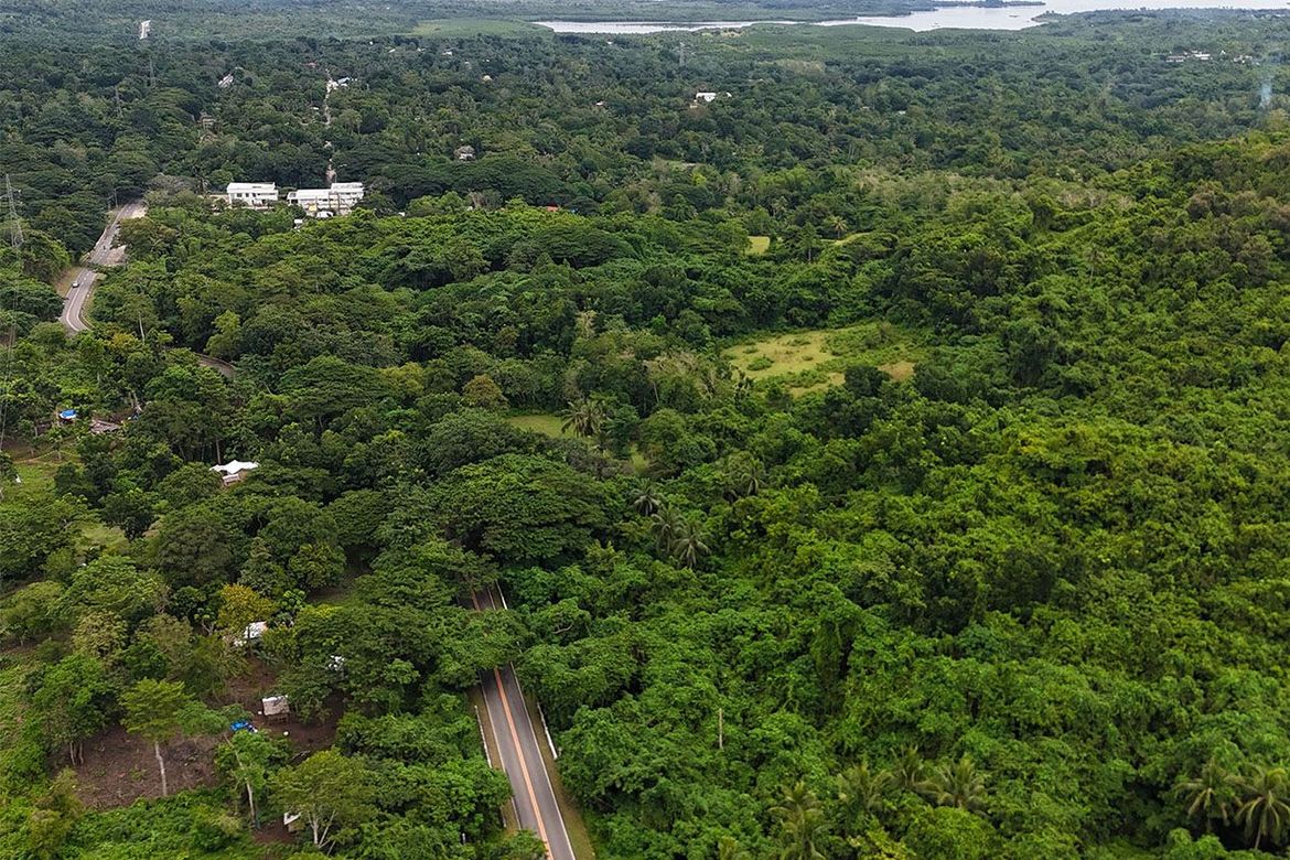Land for Sale in Luzviminda, Puerto Princesa, Palawan – photo 2