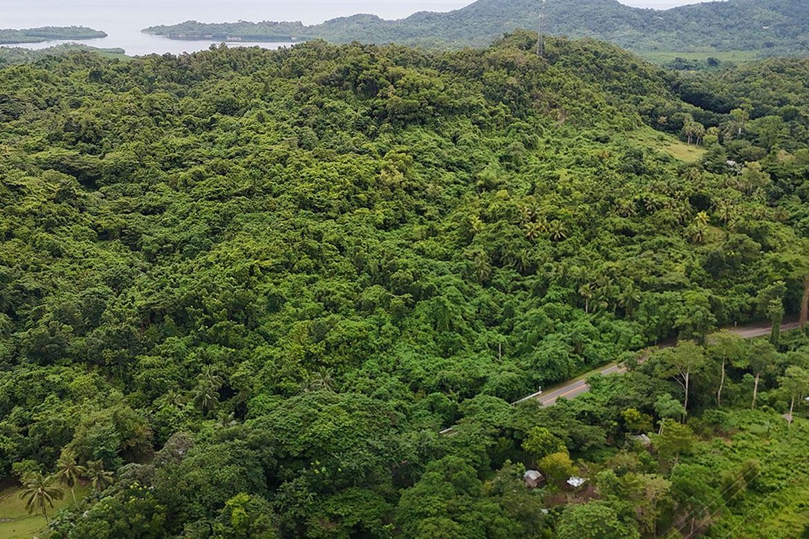 Land for Sale in Luzviminda, Puerto Princesa, Palawan – photo 4