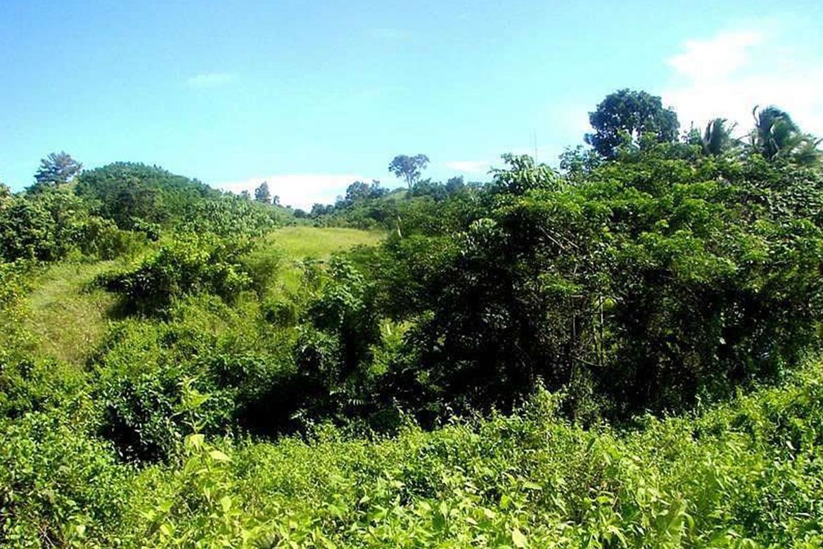 Land for Sale in Luzviminda, Puerto Princesa, Palawan – photo 6