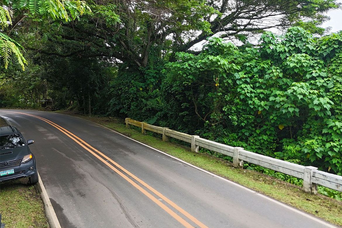 Land for Sale in Luzviminda, Puerto Princesa, Palawan – photo 8