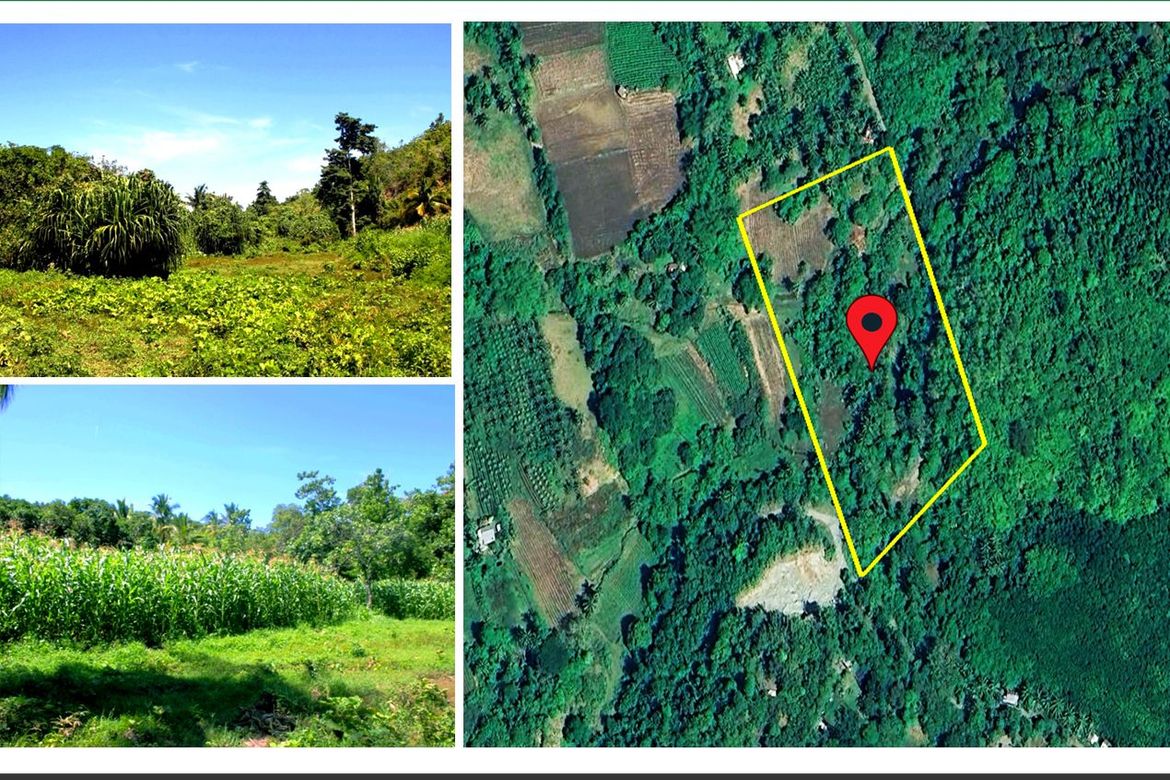 Land for Sale in Luzviminda, Puerto Princesa, Palawan