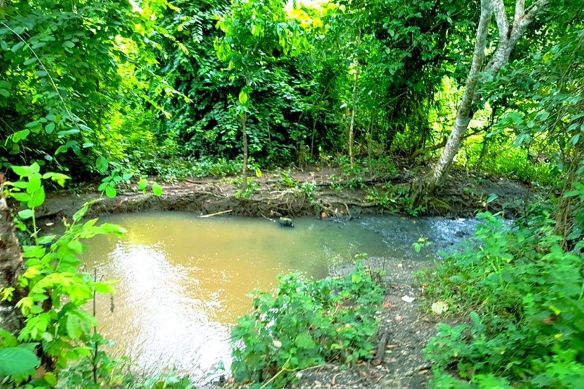 Land for Sale in Luzviminda, Puerto Princesa, Palawan – photo 5