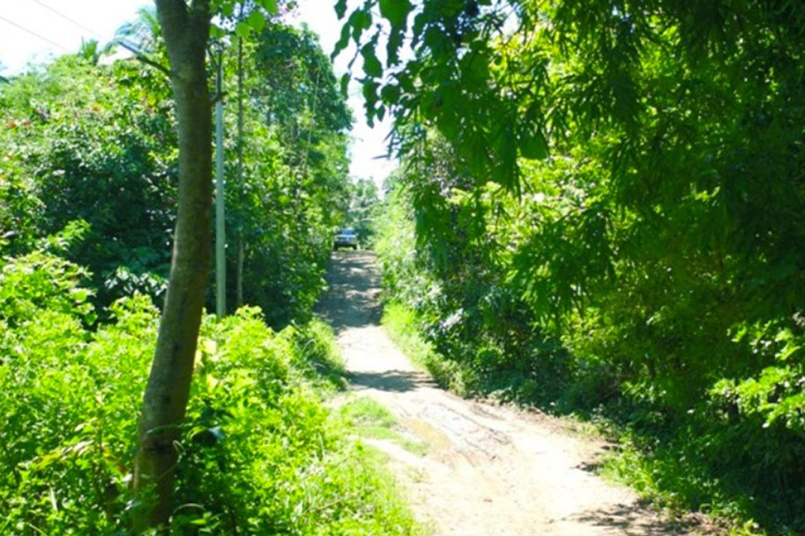 Land for Sale in Luzviminda, Puerto Princesa, Palawan – photo 6