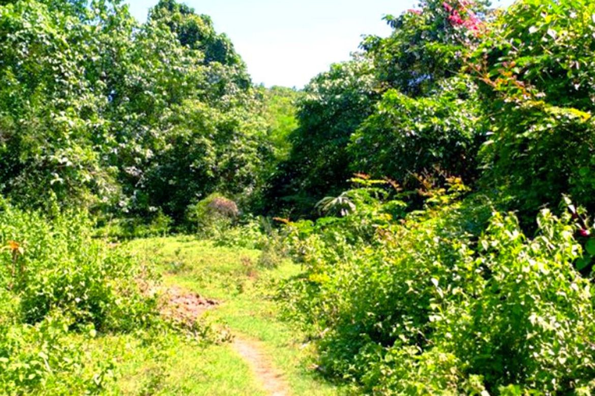 Land for Sale in Luzviminda, Puerto Princesa, Palawan – photo 7