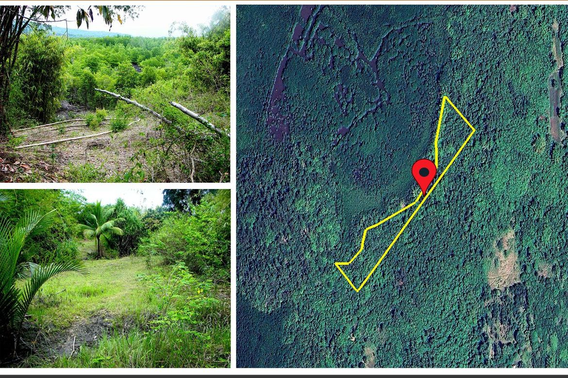 Land for Sale in Luzviminda, Puerto Princesa, Palawan