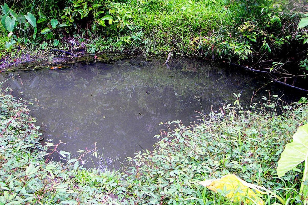 Land for Sale in Luzviminda, Puerto Princesa, Palawan – photo 8