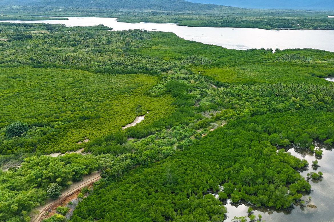 Land for Sale in Luzviminda, Puerto Princesa, Palawan – photo 2