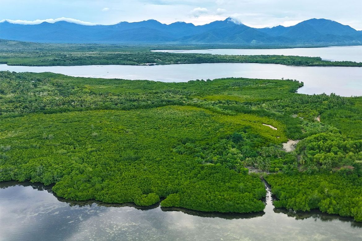 Land for Sale in Luzviminda, Puerto Princesa, Palawan – photo 7