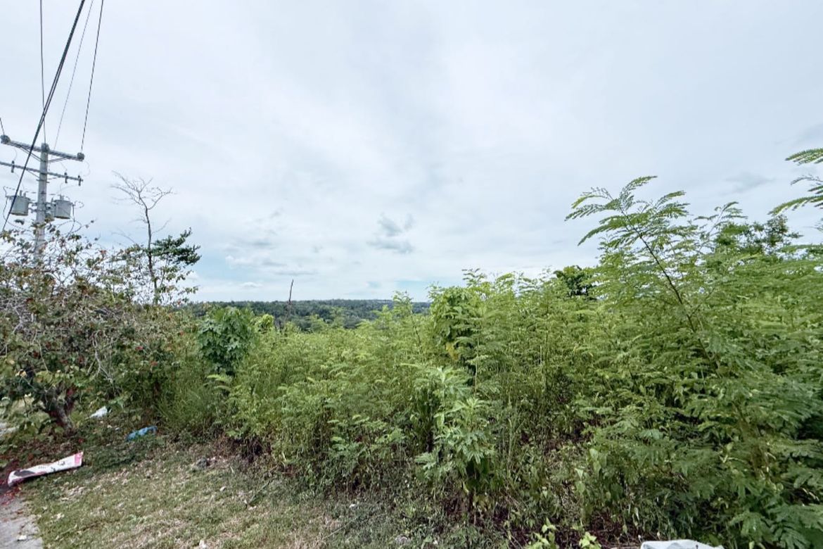 Land for Sale in Ma-A, Davao City, Davao del Sur – photo 4