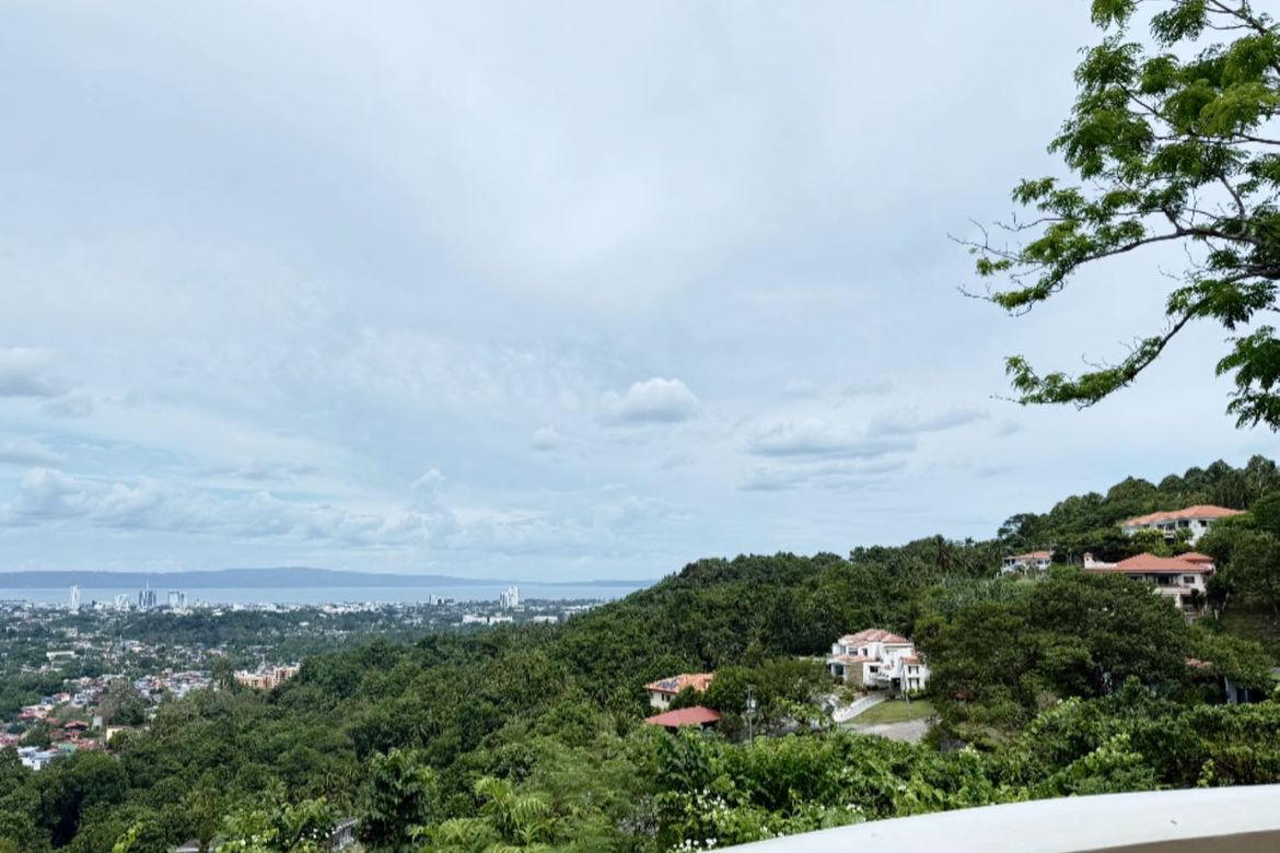 Land for Sale in Ma-A, Davao City, Davao del Sur – photo 6