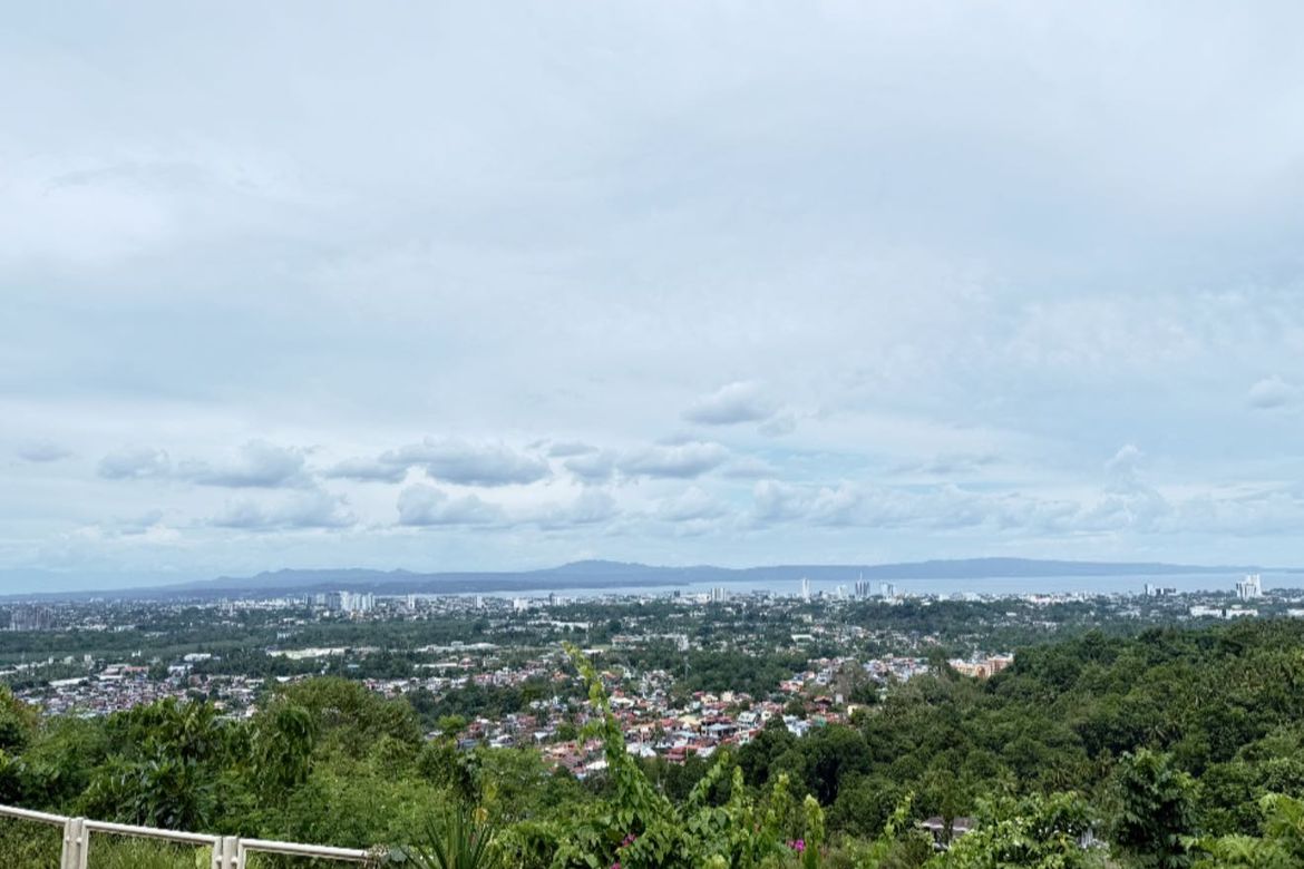 Land for Sale in Ma-A, Davao City, Davao del Sur – photo 7