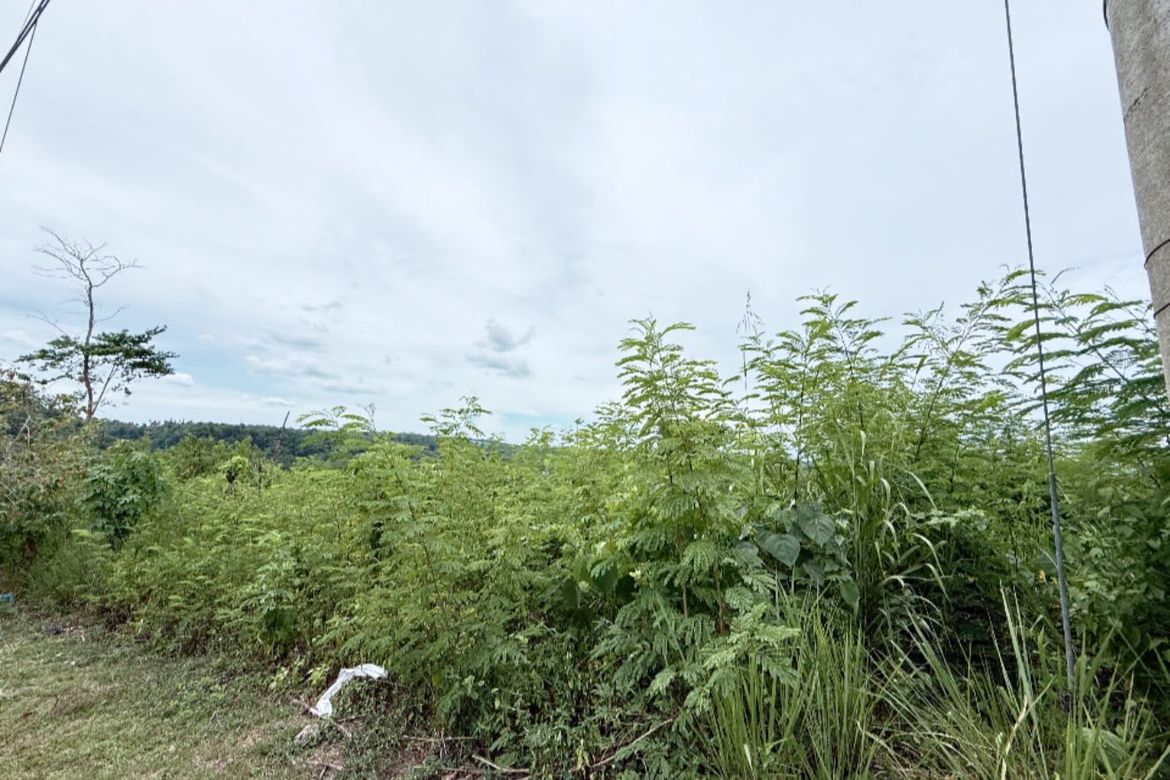 Land for Sale in Ma-A, Davao City, Davao del Sur – photo 8