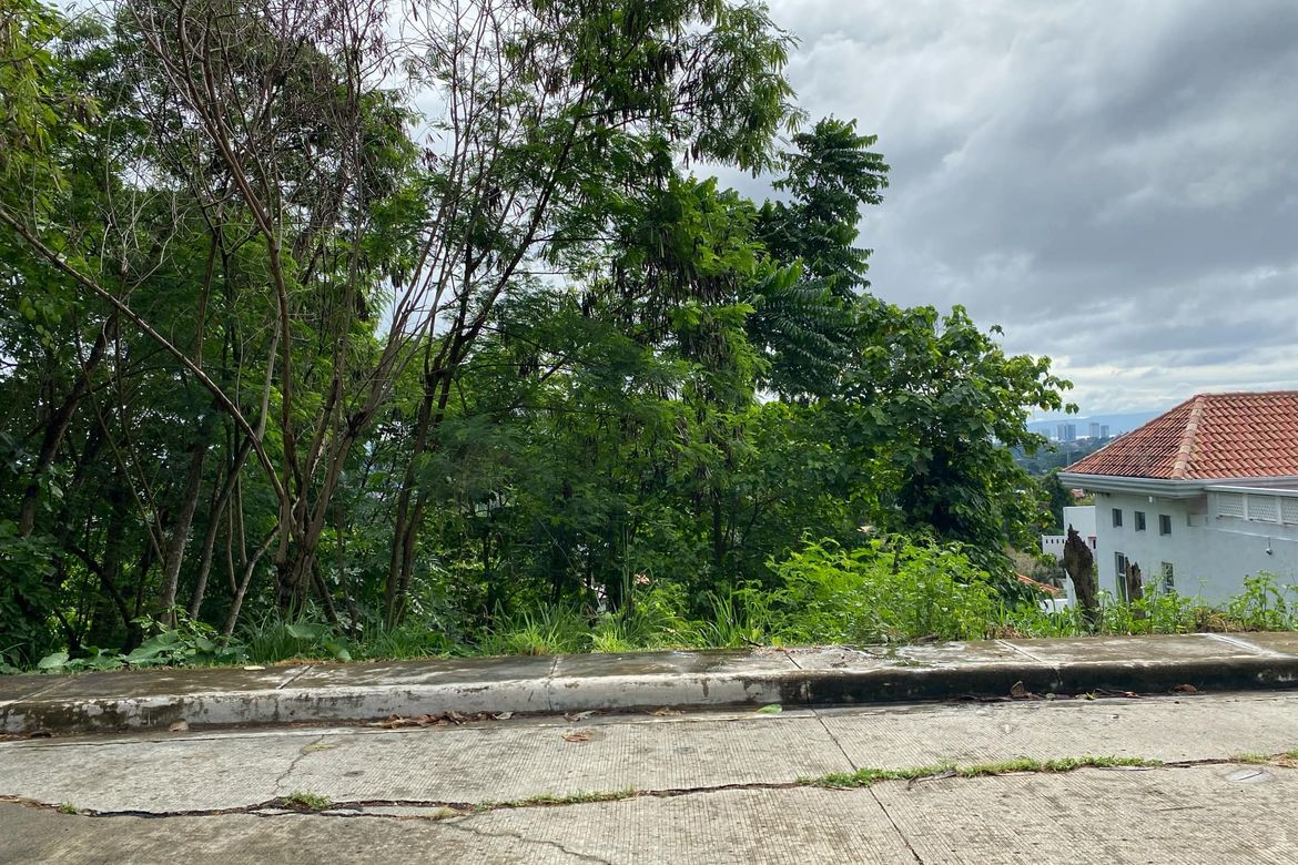 Land for Sale in Ma-A, Davao City, Davao del Sur – photo 3