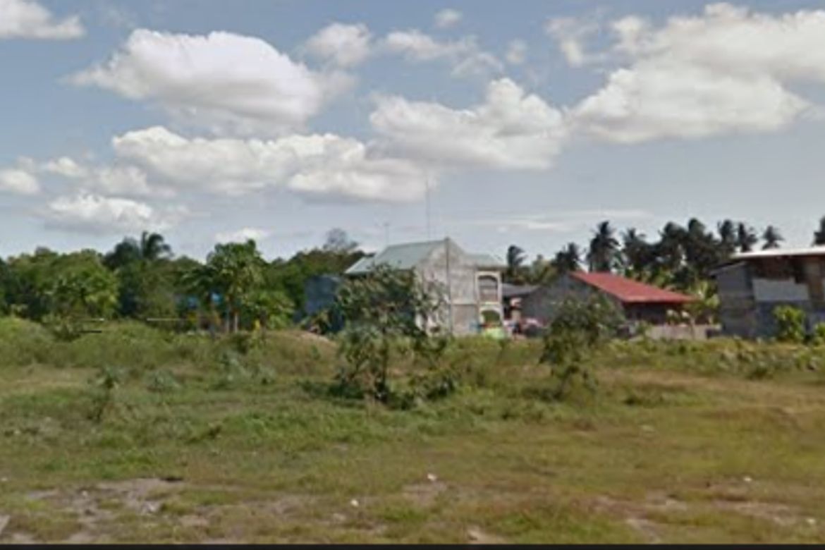 Land for Sale in Ma-A, Davao City, Davao del Sur – photo 4