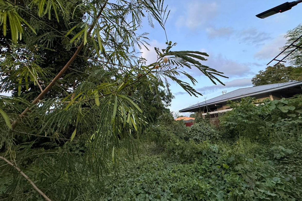 Land for Sale in Ma-A, Davao City, Davao del Sur – photo 2