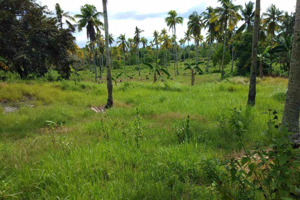 Land for Sale in Ma-A, Davao City, Davao del Sur – photo 3