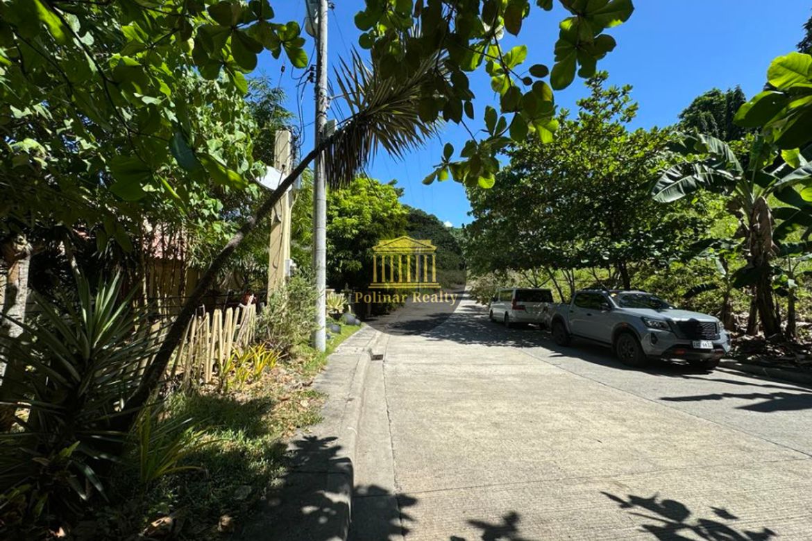 Land for Sale in Ma-A, Davao City, Davao del Sur – photo 3