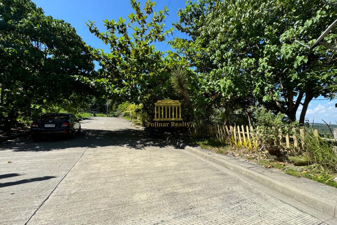 Land for Sale in Ma-A, Davao City, Davao del Sur – photo 4