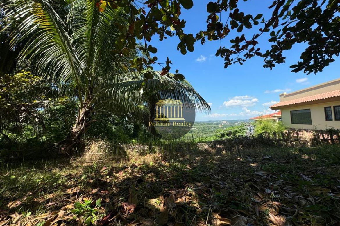 Land for Sale in Ma-A, Davao City, Davao del Sur – photo 6