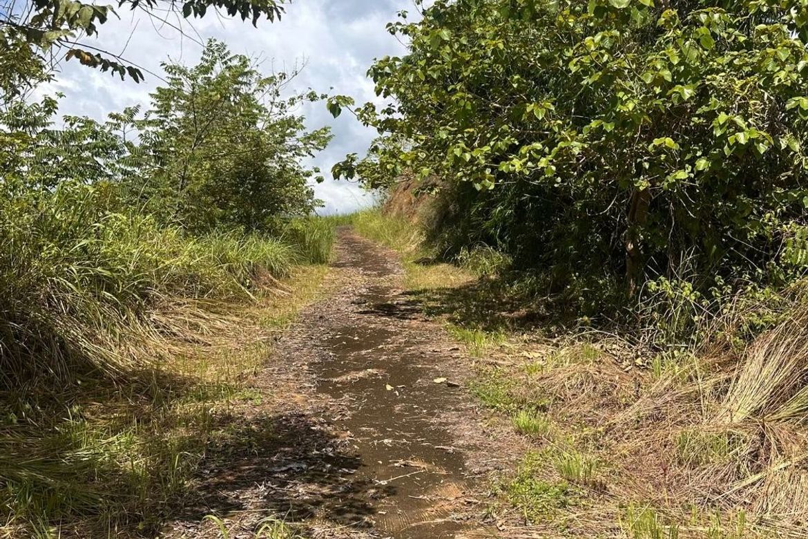 Land for Sale in Maamot, San Jose, Tarlac – photo 4