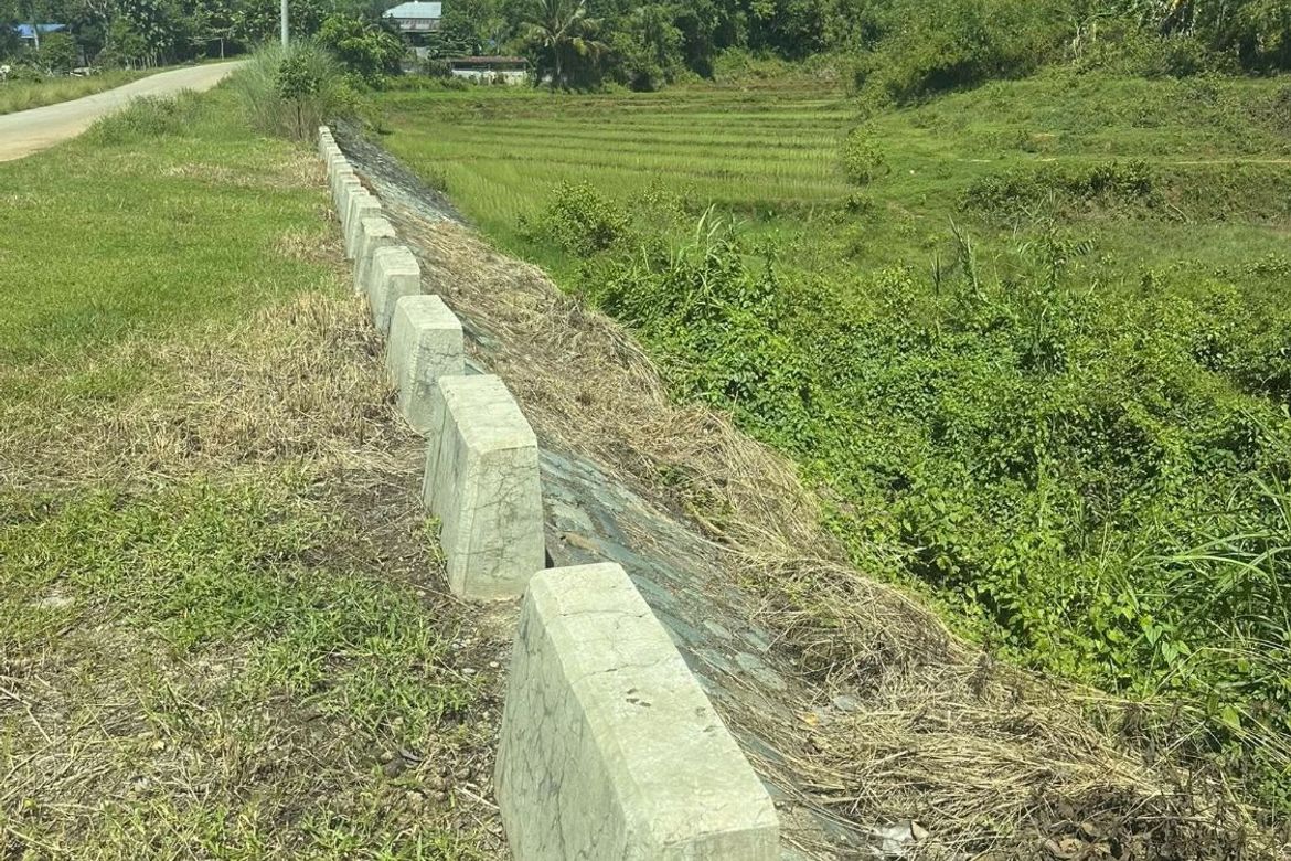 Land for Sale in Maamot, San Jose, Tarlac – photo 5