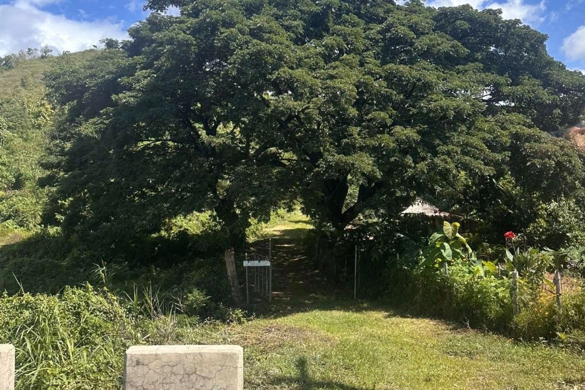 Land for Sale in Maamot, San Jose, Tarlac – photo 6