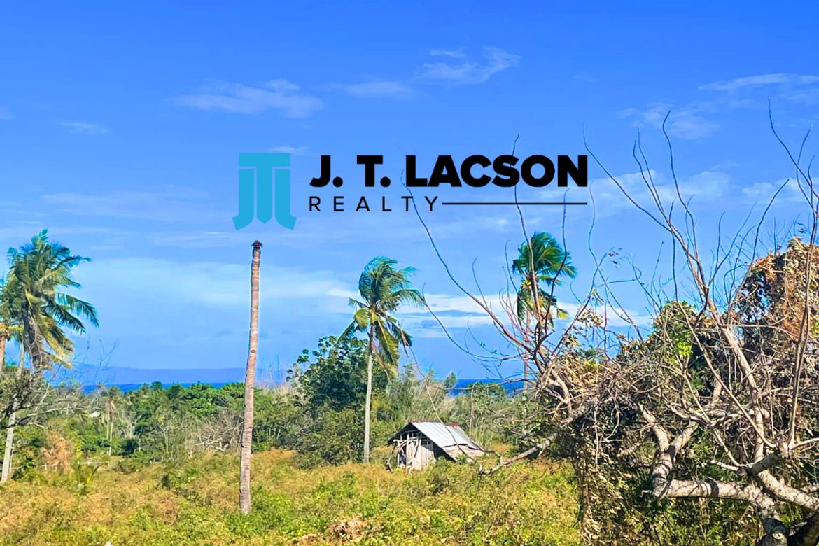 Land for Sale in Maayongtubig, Dauin, Negros Oriental – photo 2