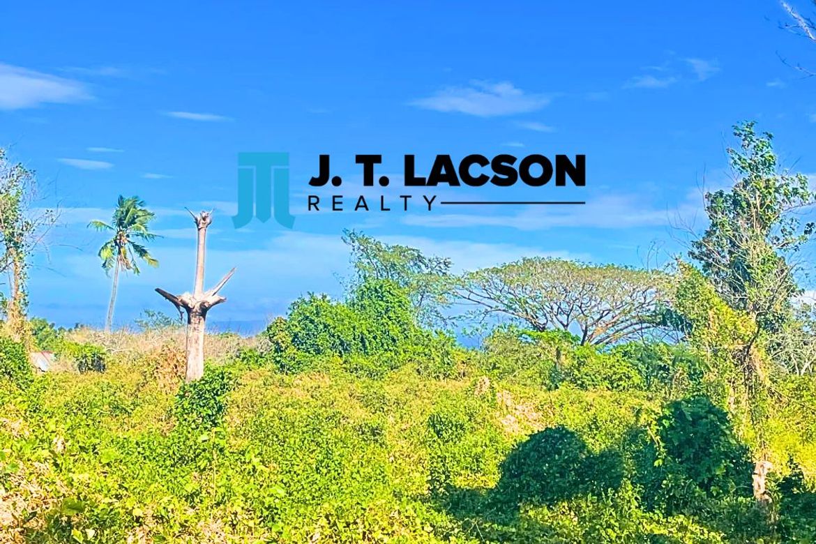Land for Sale in Maayongtubig, Dauin, Negros Oriental – photo 4