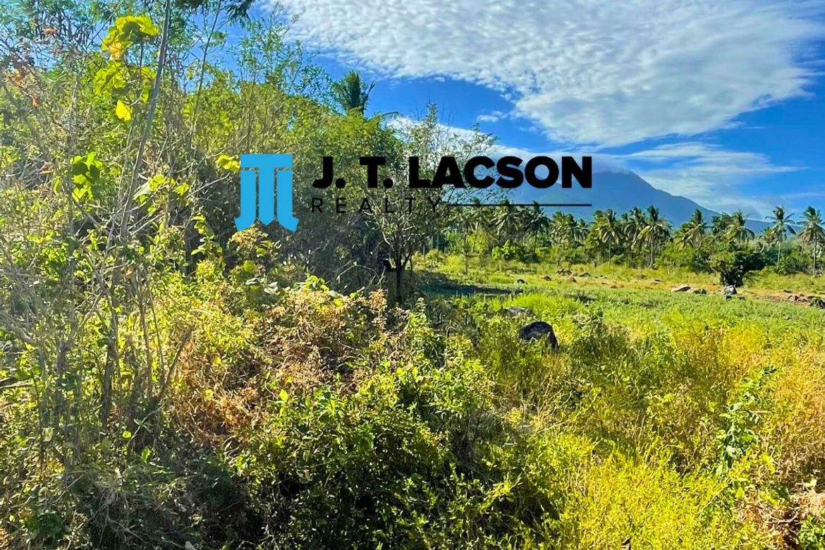 Land for Sale in Maayongtubig, Dauin, Negros Oriental – photo 5