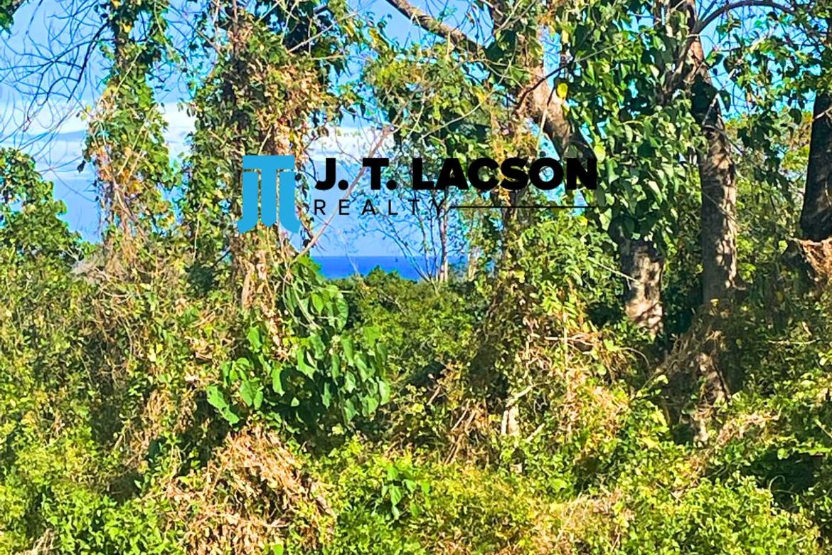 Land for Sale in Maayongtubig, Dauin, Negros Oriental – photo 7