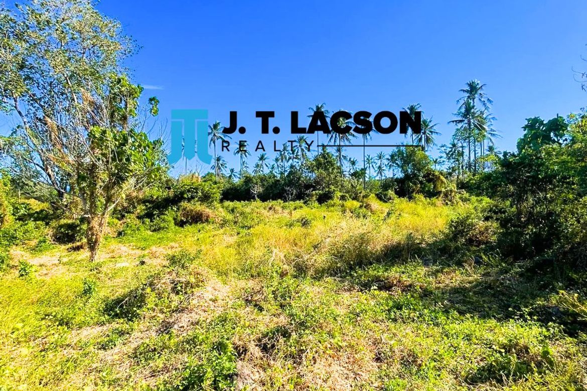 Land for Sale in Maayongtubig, Dauin, Negros Oriental – photo 8