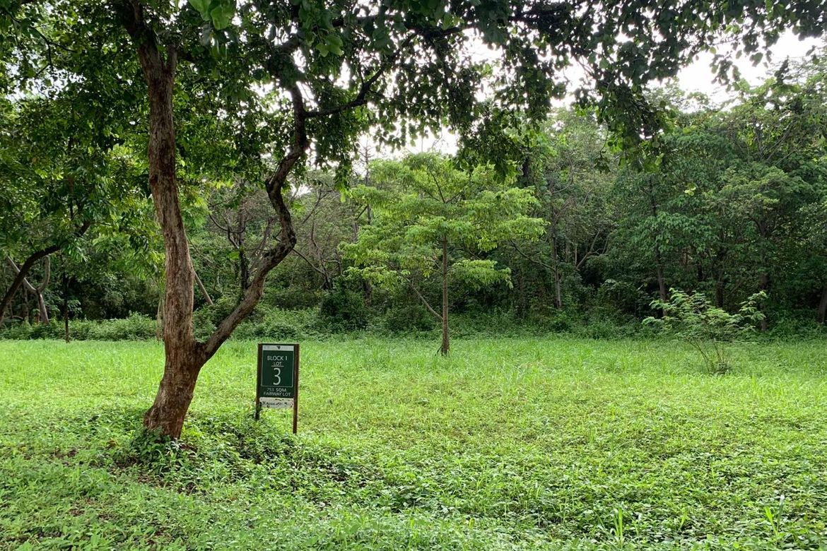 Land for Sale in Mabayo, Morong, Bataan – photo 2