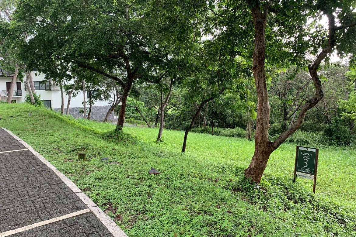Land for Sale in Mabayo, Morong, Bataan – photo 3