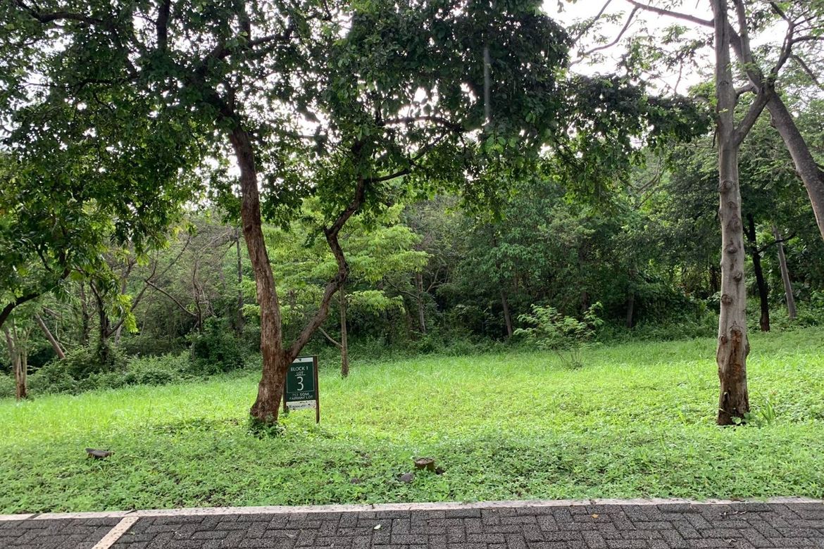 Land for Sale in Mabayo, Morong, Bataan – photo 5
